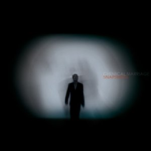album Snapshots - chemical marriage
