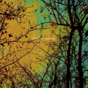 album Moon In June/Superstition - Chamberlain