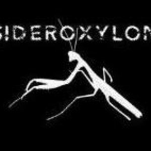 album Sideroxylon Ep 2011 - Sideroxylon