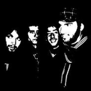 album Seguite Il Vostro Estro - Desaparecido