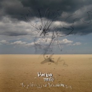 album The jellyfish is dead and the hurricane is coming - Herba Mate