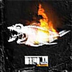 album Non ingerire - IbridoxN