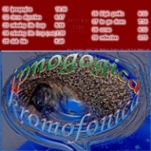 album IPNOGOGICA (capitolo 1) - Kromofonica
