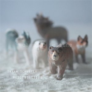 album Possibilities - Sarah Schuster