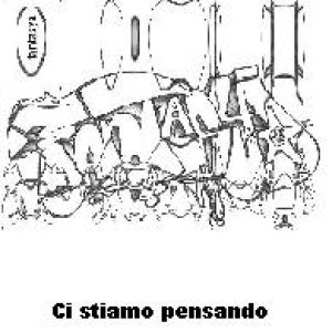 album Ci stiamo pensando - Fantasya
