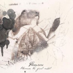 album Herman the giant Rabbit - PlusEnsure