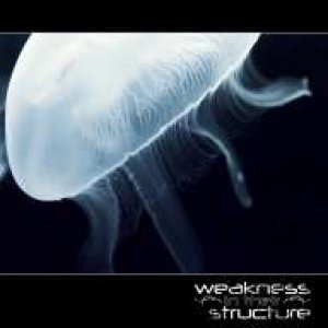 album Weakness in Their Structure - Weakness in Their Structure