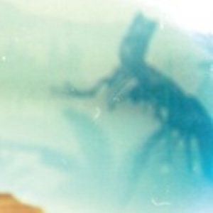 album Lucertole - Le Case del Futuro