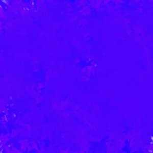 album Ep - The First True Primavera
