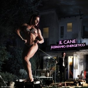 album Risparmio energetico (mttte-0007/2012) - uscita 27 gennaio 2012 - Il Cane