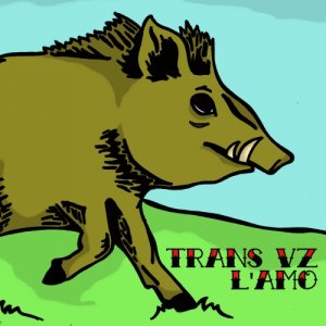 album Trans VZ / L'AMO - Split