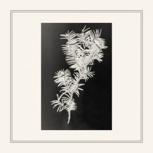 album Taxus Baccata EP - Casa del Mirto
