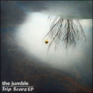album Trip Scars - The Jumble
