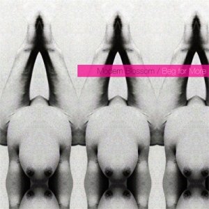 album Beg For More - Modern Blossom