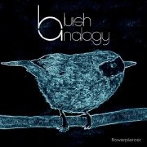 album Flowerpiercer - EP - Bluish Analogy