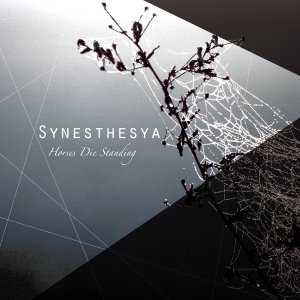 album Synesthesya EP - Horses Die Standing