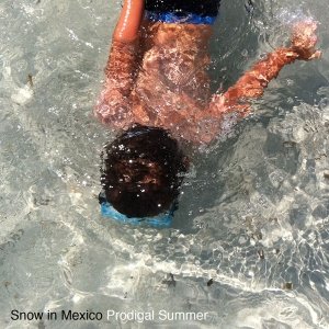 album Prodigal Summer - Snow in mexico