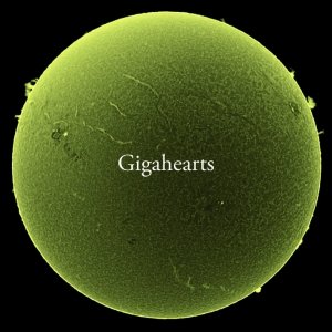 album Dharma - Gigahearts