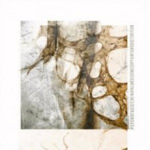 album Songs of Faint and Distortion - Psychofagist