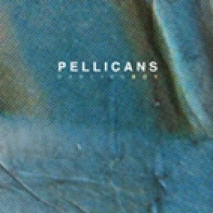 album DANCING BOY - PELLICANS