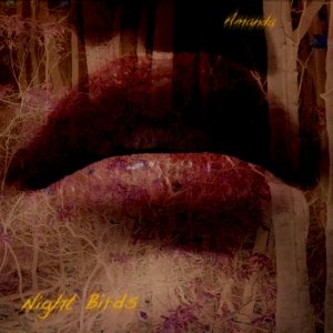 album Amanda - Night Birds - Michael Palmer