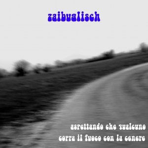 album Aspettando che qualcuno copra il fuoco con la cenere - Zaibuglisch