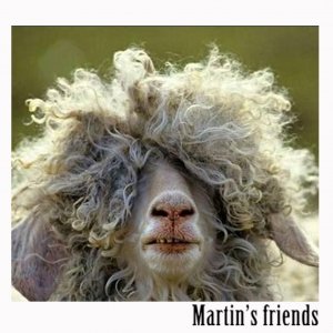 album Martin's friends - Martin's friends