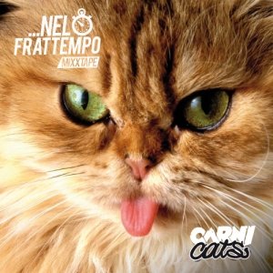 album Nel frattempo - Carnicats