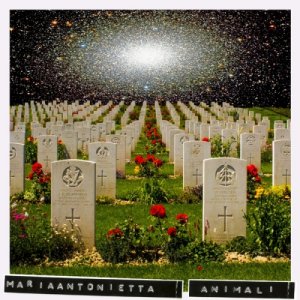 album Animali (Singolo) - Maria Antonietta