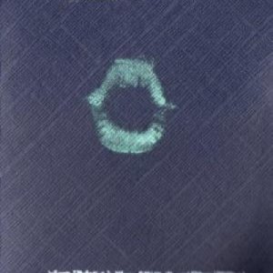 album Bath Salts + L'Enfant et le Ménure - Nichelodeon