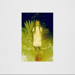 album The Ivy - The Great Saunites
