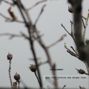 album Quel filo sottile che chiami voce. - Luomoinmeno