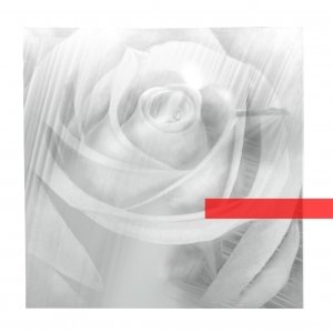 album Transparency - Scarlet's Walk