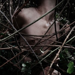 album Canzoni contro la natura - The Zen Circus