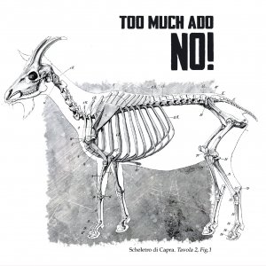 album NO! - Too Much Ado