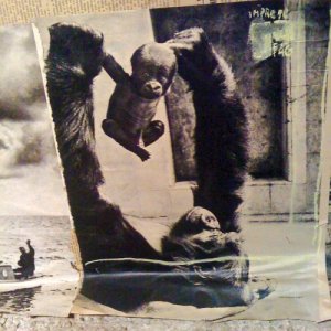 album Hai dormito tutto il tempo - IMPRESE FAG