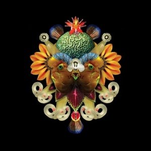 album Sycamore Age #1 Remixes/Reworks - Sycamore Age
