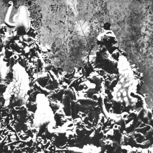 album Fiume Nero - donato epiro