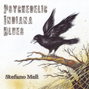 album Psychedelic Indiana Blues - stefano meli