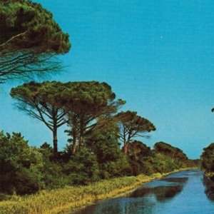 album PINARELLA BLUES - IL LUNGO ADDIO