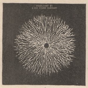 album Starlight EP - a Big Silent Elephant