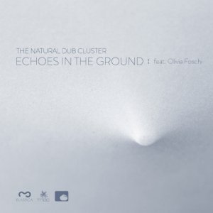 album Echoes in the Ground - The Natural Dub Cluster
