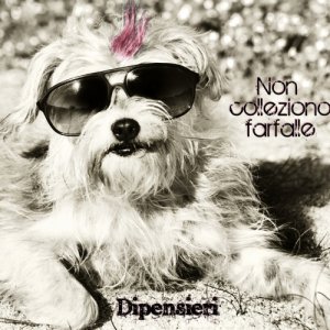 album Non colleziono farfalle - Dipensieri