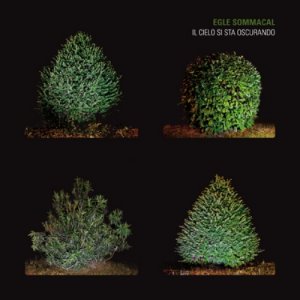 album Il cielo si sta oscurando - Egle Sommacal