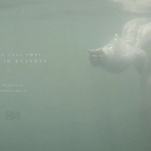 album I Have Your Smell (single) - Rome in Reverse