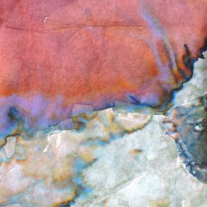 album Bureaucratic Headache - The Beautiful Bunker