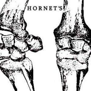 album caos melodico - The Hornet's