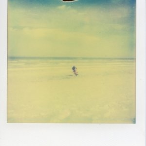 album Beauteous - Allie's Dope