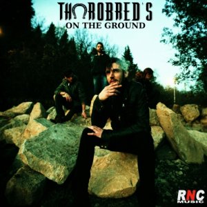 album ON THE GROUND (mastered) - Thorobred's