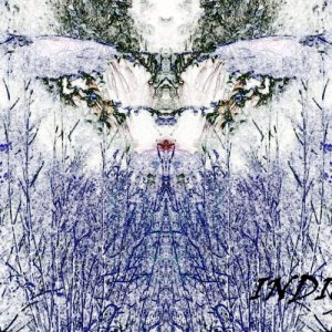album INDIGO EP - Oh Time Your Pyramids
